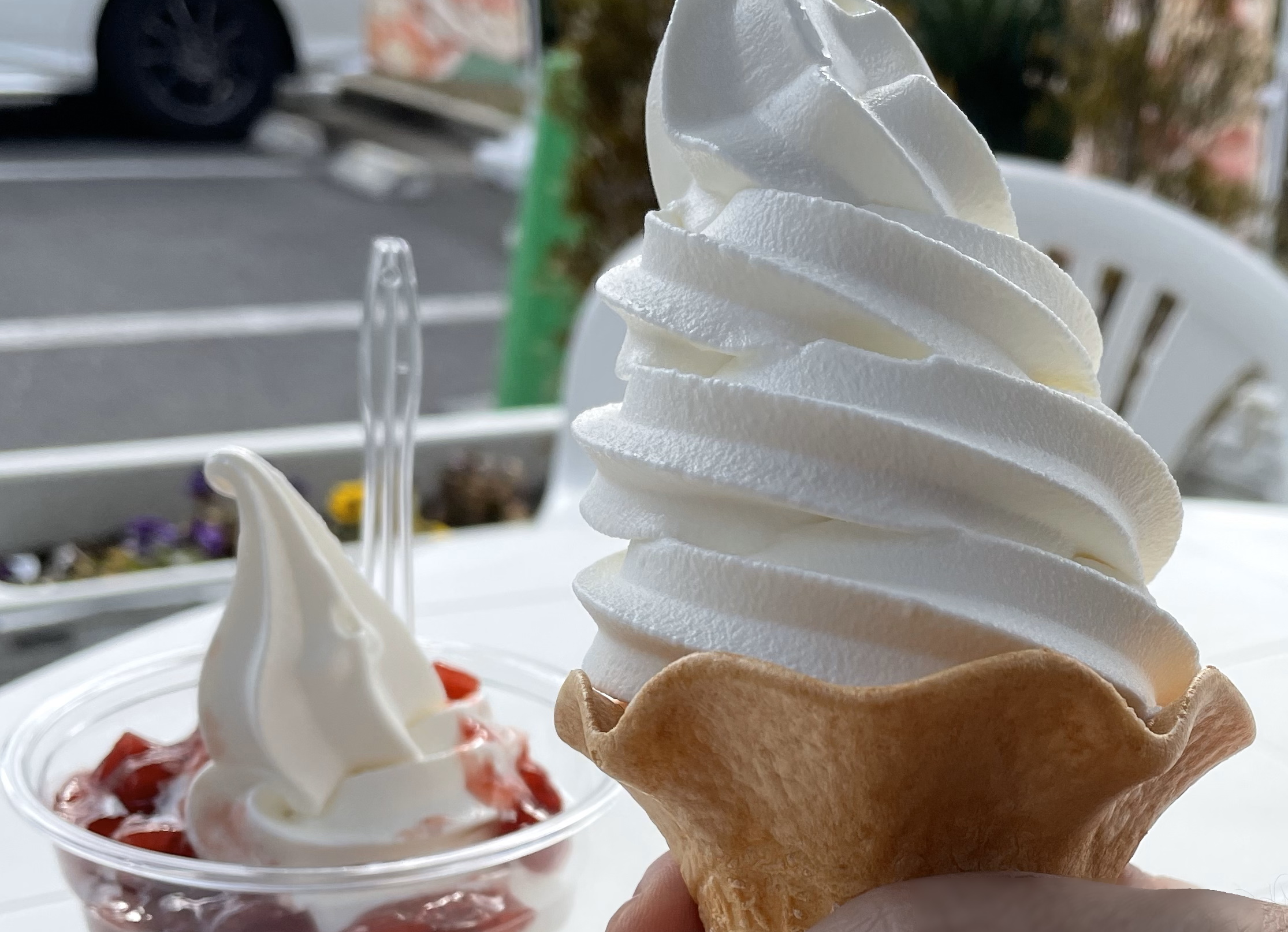 新生酪農ソフトクリーム